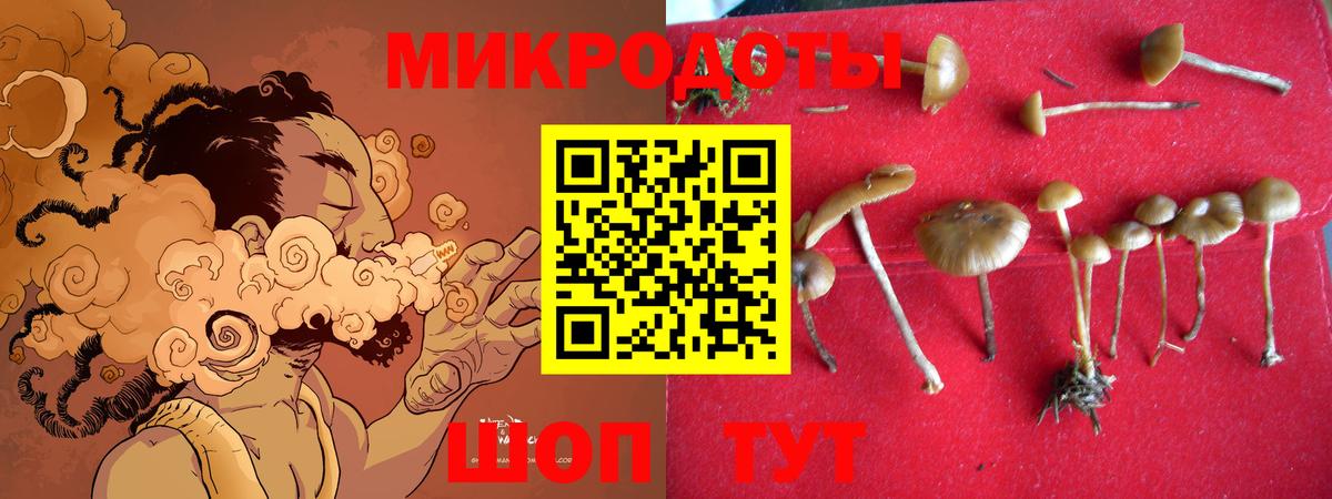Галлюциногенные грибы мицелий Сатка