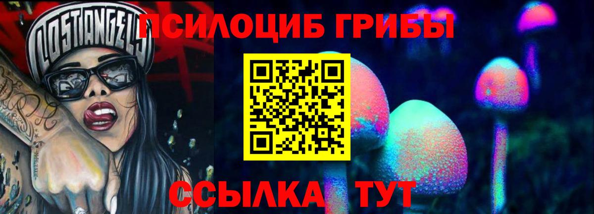 Сатка  Галлюциногенные грибы Psilocybine cubensis  Вход с VPN 